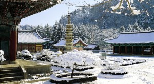 woljeongsa-temple-57394